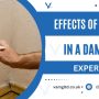 Effects of Sleeping in a Damp Room | Expert Guide